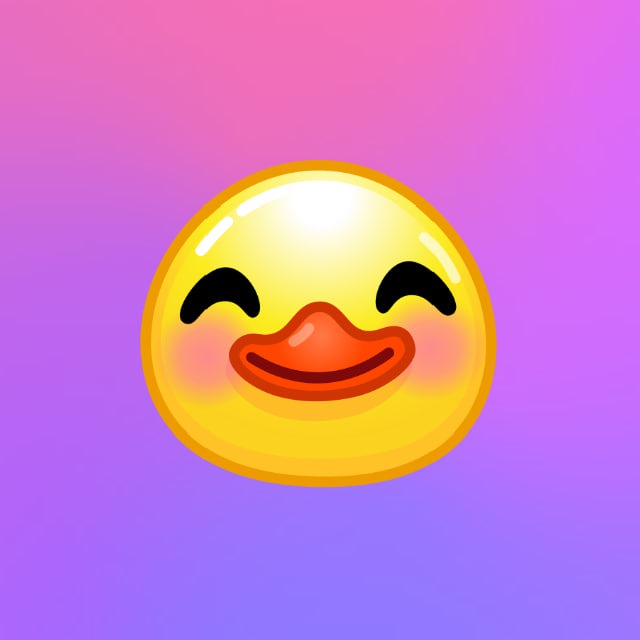DUCK BOXES
